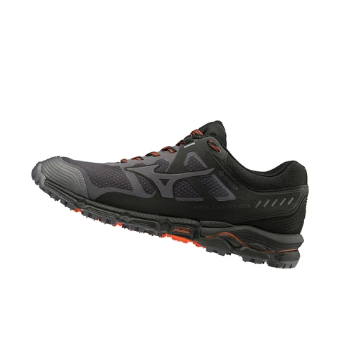 Zapatillas De Trail Running Mizuno Wave Daichi 5 Gtx Hombre Negras | OCJ438519