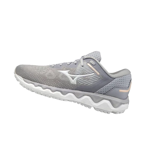 Zapatillas Running Mizuno Wave Horizon 5 Mujer Silver/Blue | QHR276318