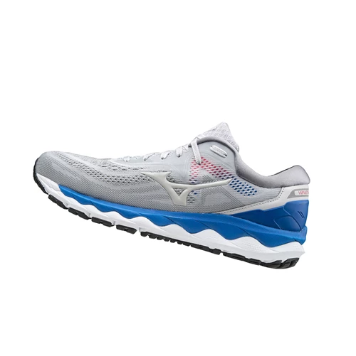 Zapatillas Running Mizuno Wave Sky 4 Hombre Grey/Blue | ONI071542