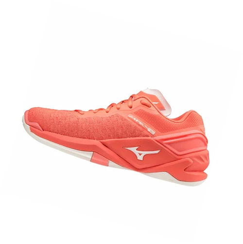 Zapatillas de Balonmano Mizuno Wave Stealth Neo Mujer Gris | FHI274851