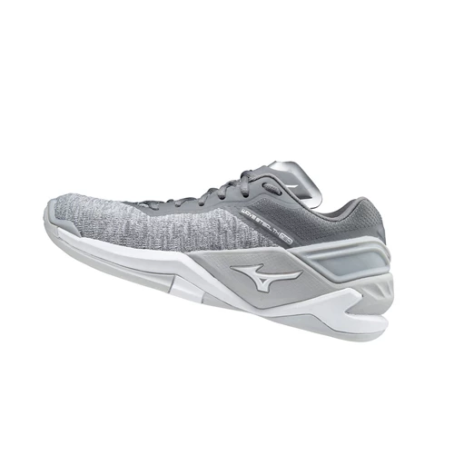 Zapatillas de Balonmano Mizuno Wave Stealth Neo Mujer White/Grey | SKW841360