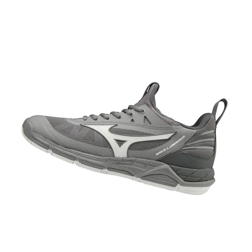 Zapatillas de Voleibol Mizuno Wave Luminous Mujer Gris | UNX462130