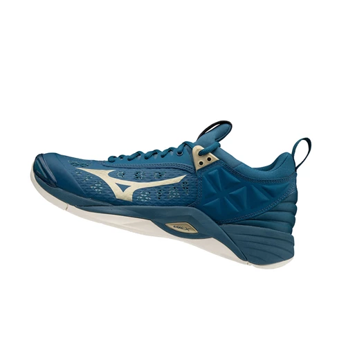 Zapatillas de Voleibol Mizuno Wave Momentum Hombre Azules | GFP328459